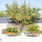 Filerimos House